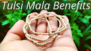 Tulsi Mala Benefits  Who can wear tulsi mala  Rules of wearing tulsi mala [upl. by Stacey]