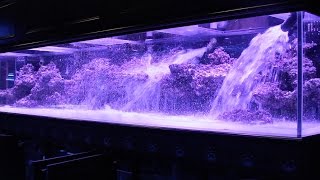 800 Aquarium pt2 Aquascape  Floating Shelf [upl. by Kailey541]