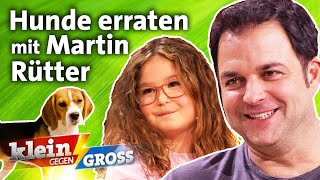 Erkennt Fine 8 mehr Hunderassen als Hundeprofi Martin Rütter  Klein gegen Groß [upl. by Trever]