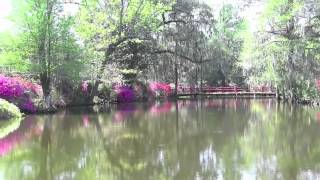 Magnolia Plantation and Gardens [upl. by Netsrik626]