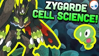 Pokemon Science Zygardes Cells  Gnoggin [upl. by Lucinda]