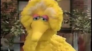 Sesame Street Episode 3860 FULL original PBS broadcast [upl. by Nyladnek]