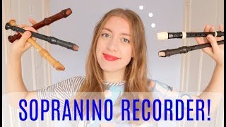 Getting started on sopranino recorder  Team Recorder [upl. by Bar]