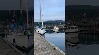 Boat Docking  Rocky Point  Port Moody BoatDocking [upl. by Hermosa]