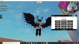 HOW TO FLY IN ANY ROBLOX GAME WORKING MAY 2023 [upl. by Nadbus]