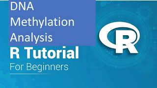 Genome wide Methylation Analysis using R  Champ Tutorial [upl. by Hurlbut]