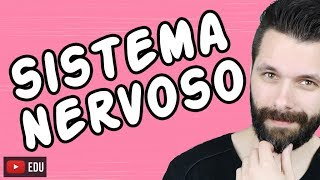 SISTEMA NERVOSO  FISIOLOGIA  Aula  Biologia com Samuel Cunha [upl. by Viking]