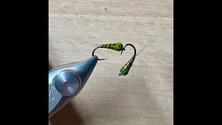 Fly Tying  BWO Perdigon [upl. by Jacquelynn]