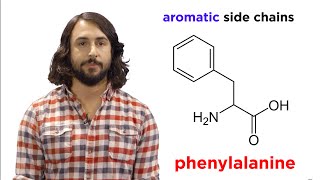 Amino Acids [upl. by Robertson306]