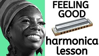 Feeling Good by Nina Simone  Playalong Harmonica Lesson [upl. by Clari]