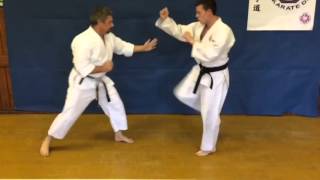 Goju Ryu Karate  Ippon Kumite Takedowns [upl. by Itirahc]