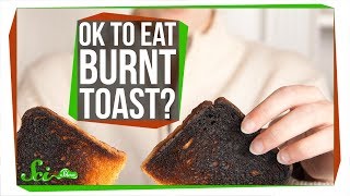 Is Burnt Toast Really Bad for You [upl. by Vyse]