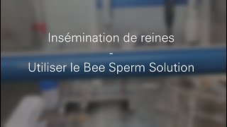 Bee Sperm Solution  Insémination reines dabeilles  Apinov [upl. by Japeth]