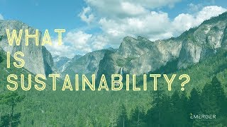 Sustainability 101 What is Sustainability [upl. by Erikson]