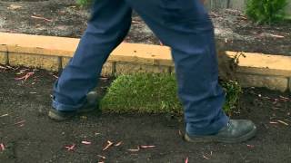 How To Lay Instant Turf  DIY At Bunnings [upl. by Ahusoj]