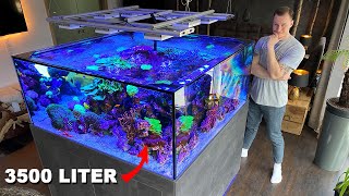 GERMAN REEF TANKS  massive saltwater aquarium 920 gallon private tour [upl. by Etteragram]