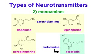 Neurotransmitters Type Structure and Function [upl. by Worsham]