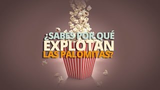 ¿Por qué explotan las palomitas [upl. by Mishaan]