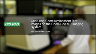 How to Use the New ChemiDoc MP for Chemiluminescent Western Blot Imaging [upl. by Lednor337]