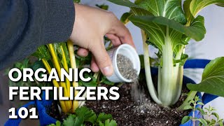 14 Organic Fertilizers and How to Use Them [upl. by Huei400]