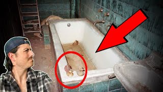 Top 3 photos with DISTURBING backstories  Part 10 [upl. by Namaj]