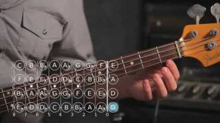 How to Play D ♯  E Flat Major Scale  Bass Guitar [upl. by Nahshon152]