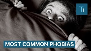 How To Get Over Phobias According To A Psychologist [upl. by Newfeld960]