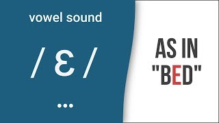 Vowel Sound  ɛ  as in quotbedquot  American English Pronunciation [upl. by Cassiani]