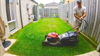 Lawn Mowing a small backyard Honda Lawn Mower Stihl Trimmer Blower [upl. by Pesvoh]