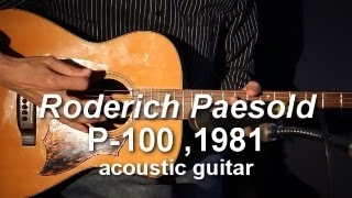 Roderich Paesold P100 Acoustic Guitar 1981 demo [upl. by Eadas]