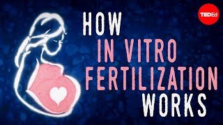 How in vitro fertilization IVF works  Nassim Assefi and Brian A Levine [upl. by Anyotal]