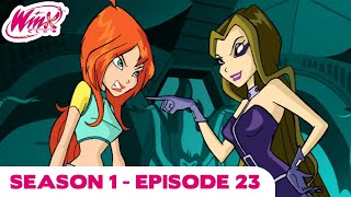 Winx Club  FULL EPISODE  Power Play  Season 1 Episode 23 [upl. by Boaten]