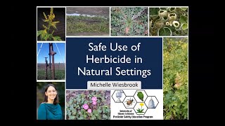 Safe Use of Herbicide in Natural Settings [upl. by Slein]