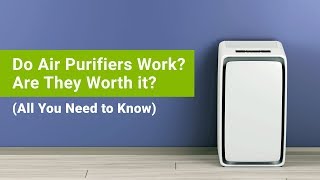 Do Air Purifiers Actually Work Are Air Purifiers Worth it Do You Need and Air Purifier at All [upl. by Newcomb]