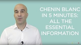 Chenin Blanc in 5 Minutes All The Essential Information [upl. by Kara891]