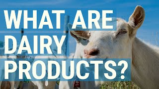 What are Dairy Products We Break Down What Counts  and What Doesnt [upl. by Oiramad]