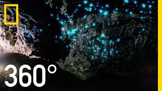 Glow Worm Caves of New Zealand in 360°  National Geographic [upl. by Annabal]