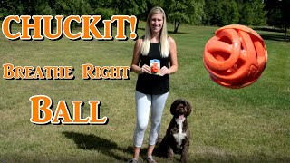 ChuckIt Breathe Right Ball [upl. by Malik]