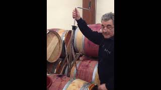 How to clarify red wine Fining  Part 3 [upl. by Isobel368]