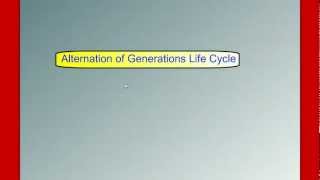 Alternation of Generations Life Cycle [upl. by Enellek]