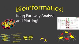 Bioinformatics  KEGG Pathway Visualization in R [upl. by Ilarin224]