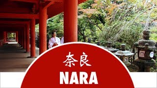 Discover Nara City  Japan Experience [upl. by Nakasuji]