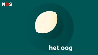 LIVE NOS Met het Oog op Morgen  11 juli 2021  NPO Radio 1 [upl. by Anon]