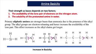 The Basicity of Amines A2 Chemistry [upl. by Akenna412]