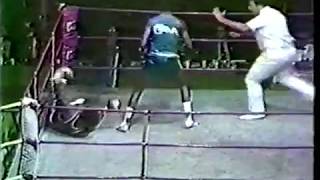 Teofilo Stevenson vs Michael Dokes [upl. by Aillicsirp]