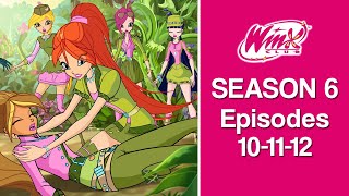 Winx Club  Season 6 Full Episodes 101112 [upl. by Eelrahc]