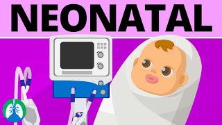 Neonatal Mechanical Ventilation Quick Medical Overview [upl. by Josselyn]