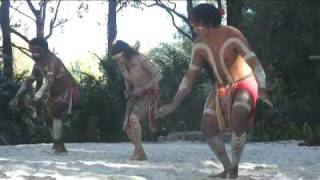 Australian Aboriginal Crane Dance [upl. by Attekram364]