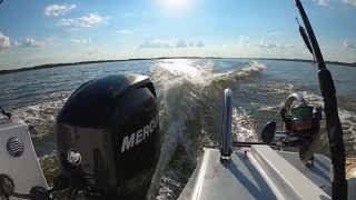 Mercury 60HP EFI 4 stroke  Full throttle [upl. by Eerbua]