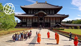 Ancient Nara Japan Amazing Places 4K [upl. by Nireves]